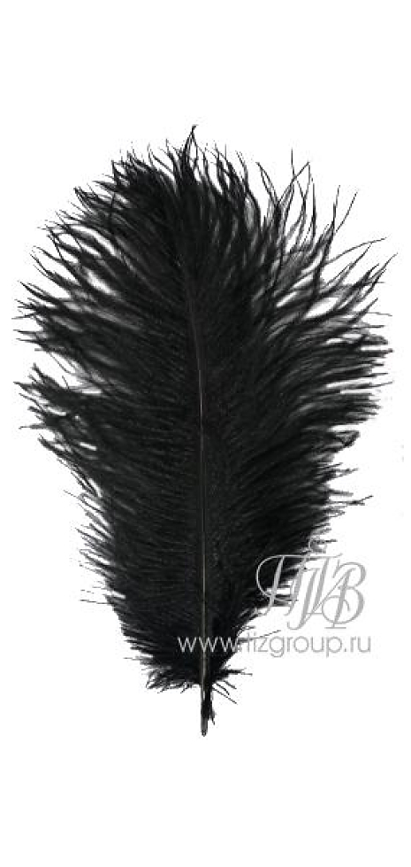 Перо страуса черное 30-35 см
