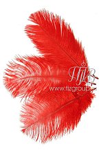 Перо страуса красное, 30-35 см