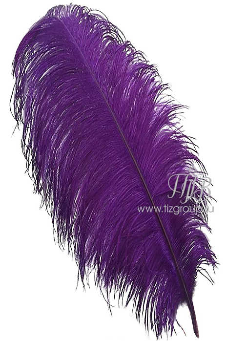 Перо страуса премиум фиолетовое 65-75 см