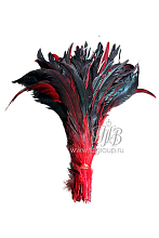 Перо петуха черно-красное 30-35 см