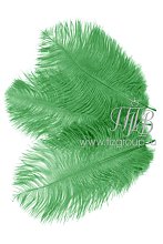 Перо страуса зеленое 30-35 см