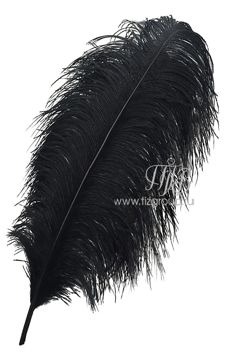 Перо страуса черное 55-60 см