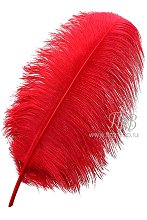 Красное перо страуса 55-60 см