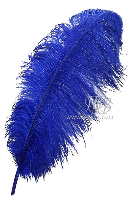 Синие перья страус 55-65 см