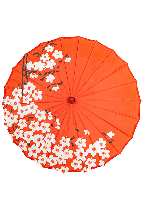 Зонт сакура