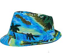 Гавайская шляпа