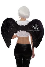 Крылья ангела черные 