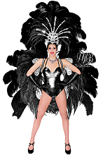 Бразильский карнавальный костюм: крылья и корона из перьев